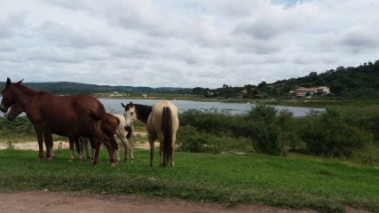 I CAMINHADA REPRESA VARGEM DAS FLORES - CONTAGEM MG