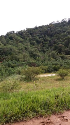 I CAMINHADA REPRESA VARGEM DAS FLORES - CONTAGEM MG