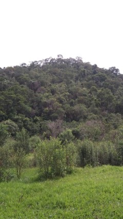 I CAMINHADA REPRESA VARGEM DAS FLORES - CONTAGEM MG