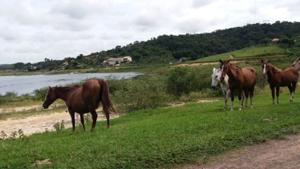 I CAMINHADA REPRESA VARGEM DAS FLORES - CONTAGEM MG