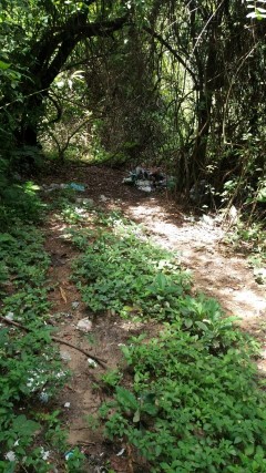 II CAMINHADA REPRESA VARGEM DAS FLORES - CONTAGEM MG