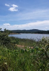 II CAMINHADA REPRESA VARGEM DAS FLORES - CONTAGEM MG