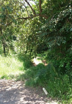 II CAMINHADA REPRESA VARGEM DAS FLORES - CONTAGEM MG