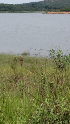 II CAMINHADA REPRESA VARGEM DAS FLORES - CONTAGEM MG