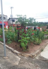 CAMINHADA BAIRRO NOVA CONTAGEM