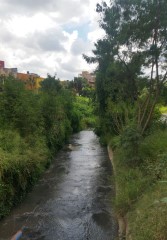 I CAMPO BAIRRO NOVA CONTAGEM