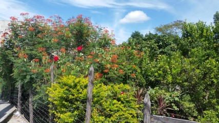 I CAMPO BAIRRO NOVA CONTAGEM