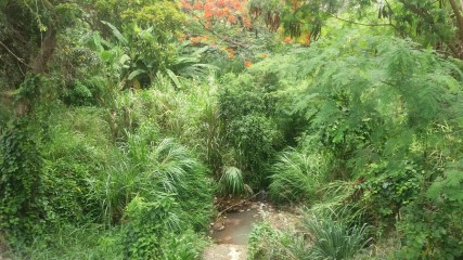 II CAMPO BAIRRO NOVA CONTAGEM