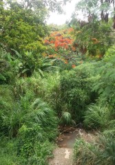 II CAMPO BAIRRO NOVA CONTAGEM