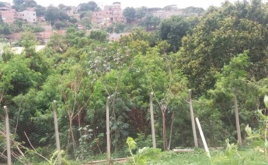 II CAMPO BAIRRO NOVA CONTAGEM