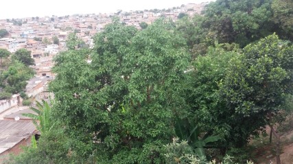 II CAMPO BAIRRO NOVA CONTAGEM